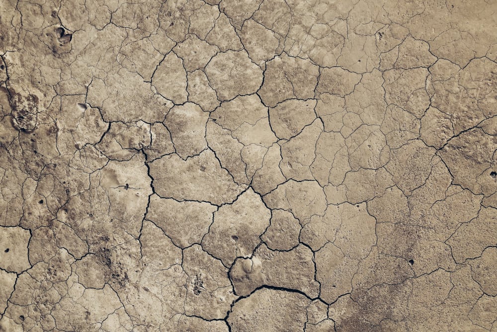 Biophilic inspiration: dry soil with a colour recalling Brave Ground.<span class="sr-only"> (opened in a new window/tab)</span>