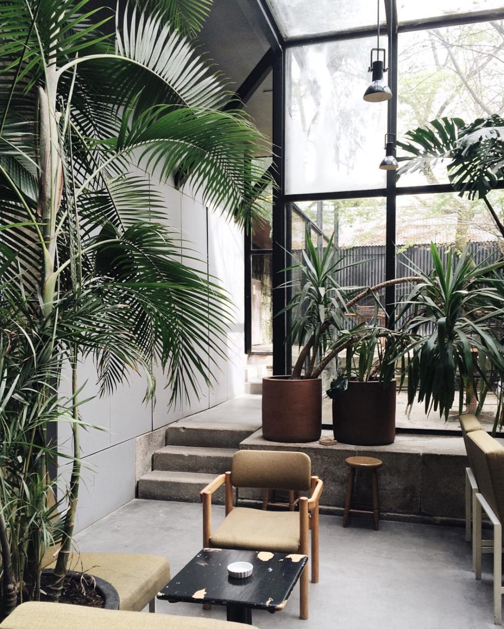Indoor of a café with plants at different heights around the tables.<span class="sr-only"> (opened in a new window/tab)</span>