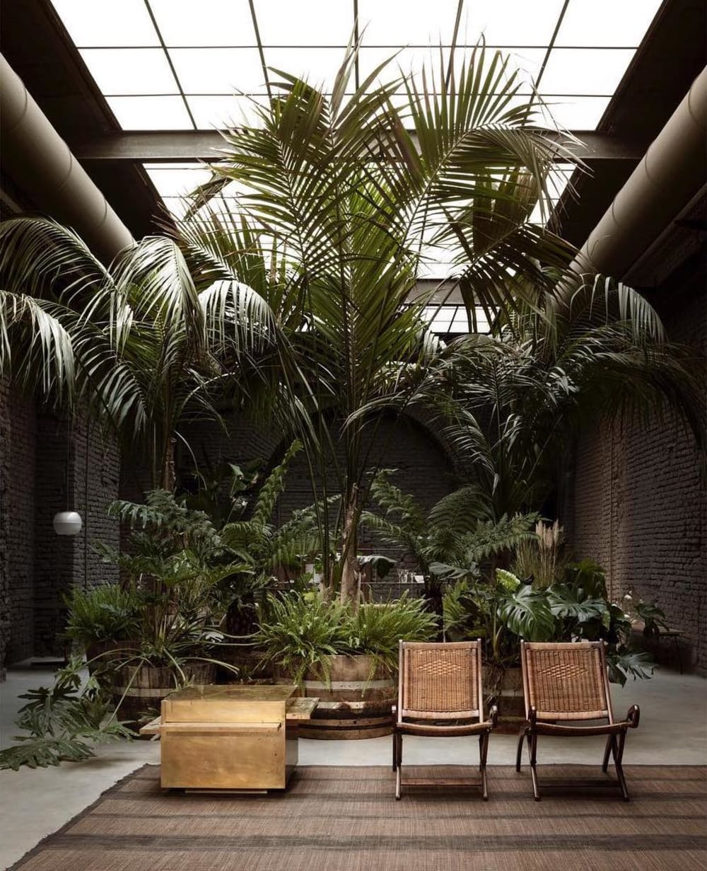 A seating area with plants at different heights.<span class="sr-only"> (opened in a new window/tab)</span>