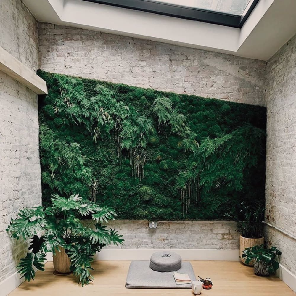 Meditation space on a room with a huge green wall and plenty of plants around.<span class="sr-only"> (opened in a new window/tab)</span>