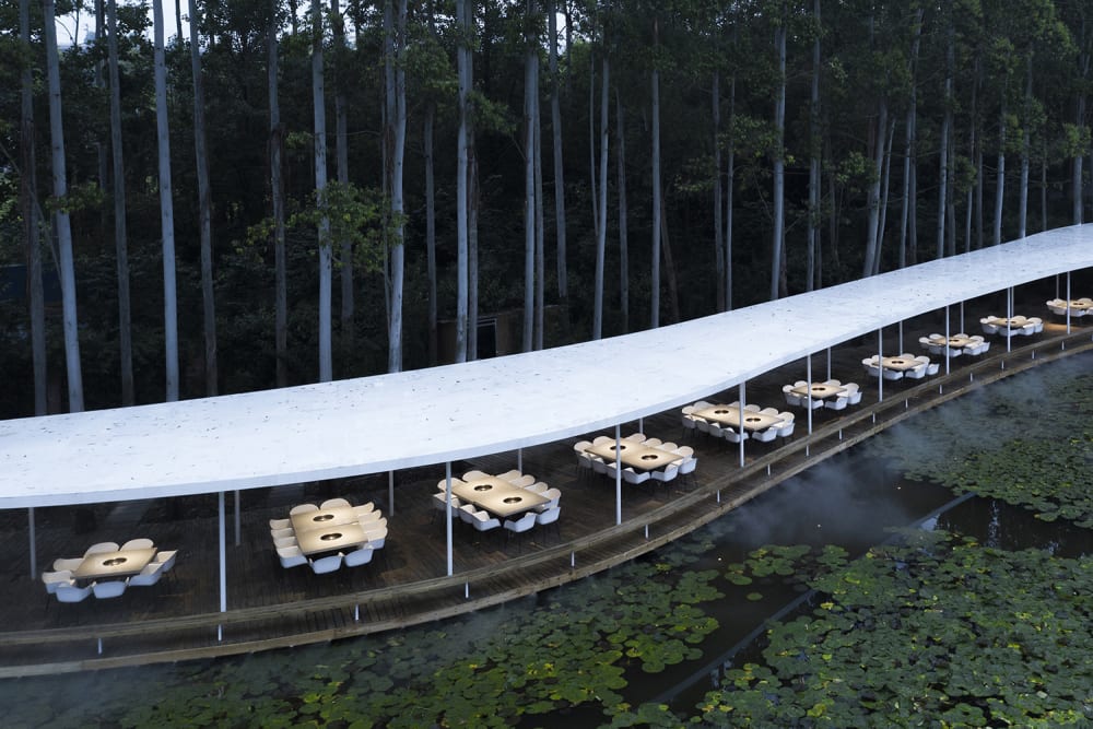 Corridor restaurant with curved plan running in the middle of a forest.<span class="sr-only"> (opened in a new window/tab)</span>