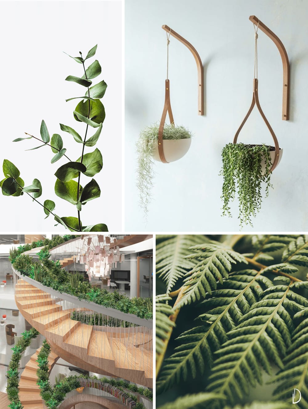 Moodboard depicting the concept of greenery in biophilic design. Wood hanging planters, a circular staircase with plants all along the handrail and two close up views of branches and leaves.<span class="sr-only"> (opened in a new window/tab)</span>