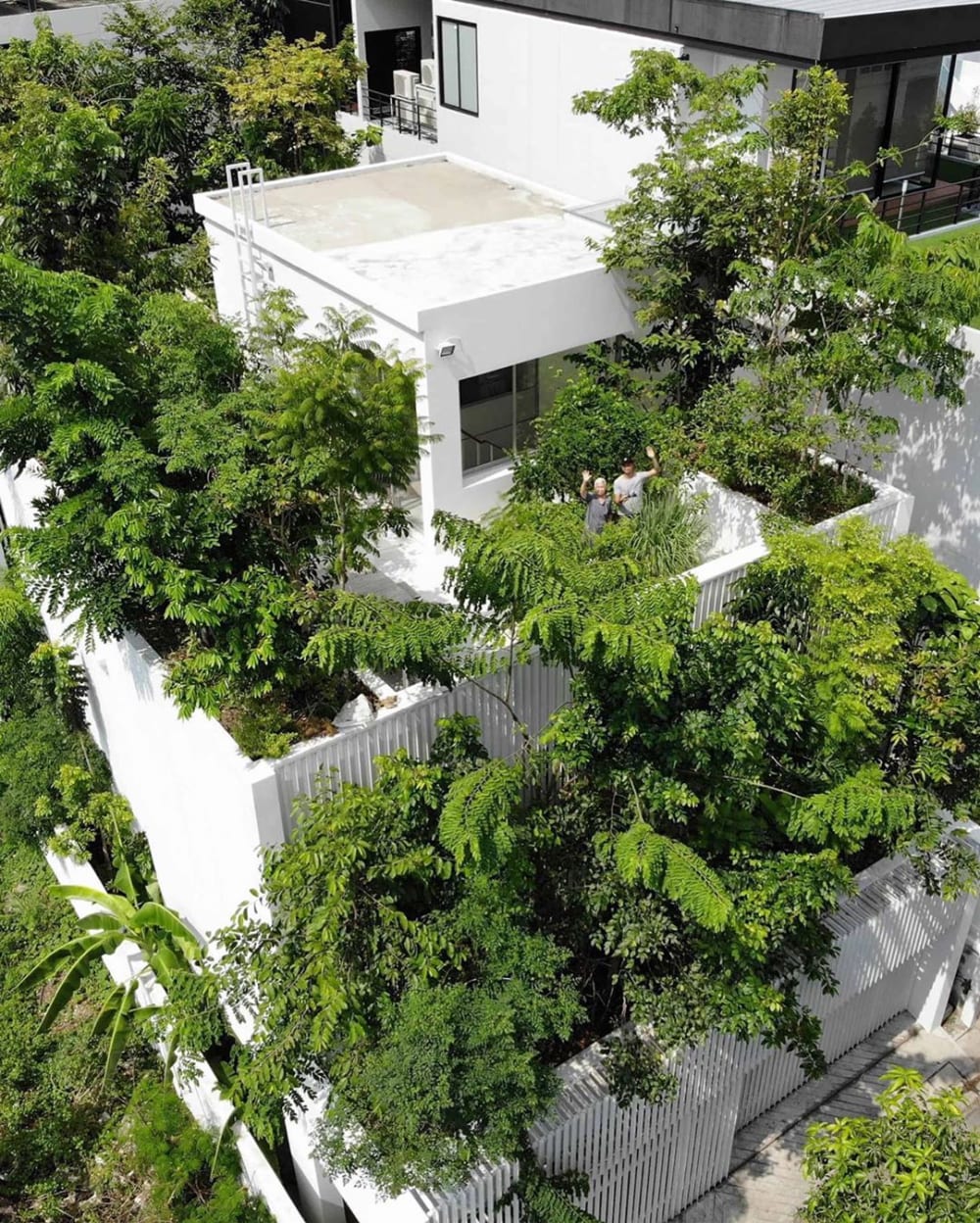 Green building in Bangkok completely covered in plants.<span class="sr-only"> (opened in a new window/tab)</span>