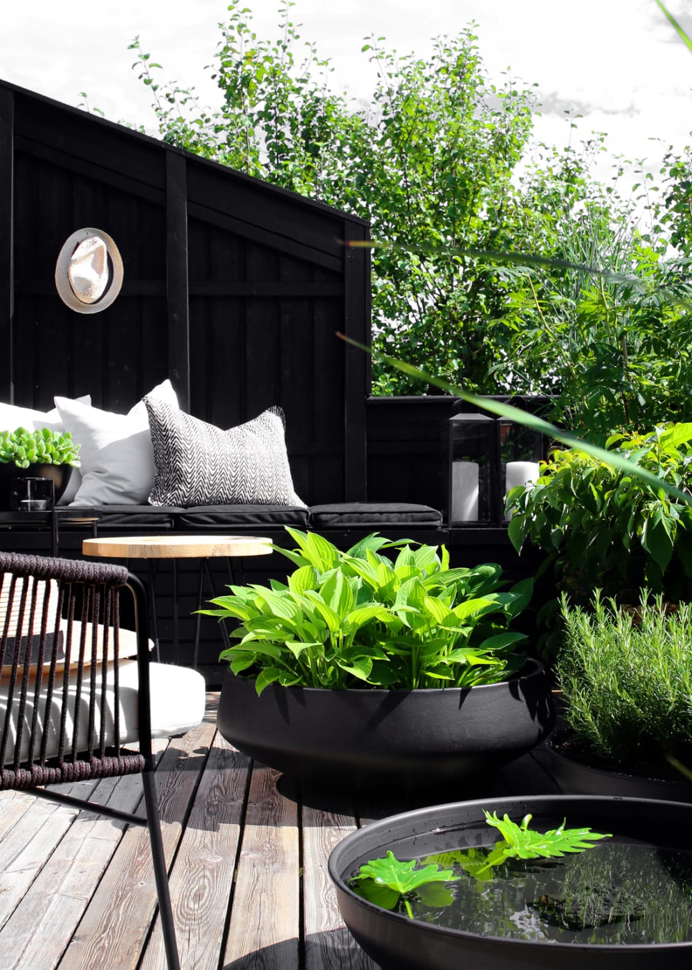 Small terrace surrounded by plants that shield it from the building in front.<span class="sr-only"> (opened in a new window/tab)</span>