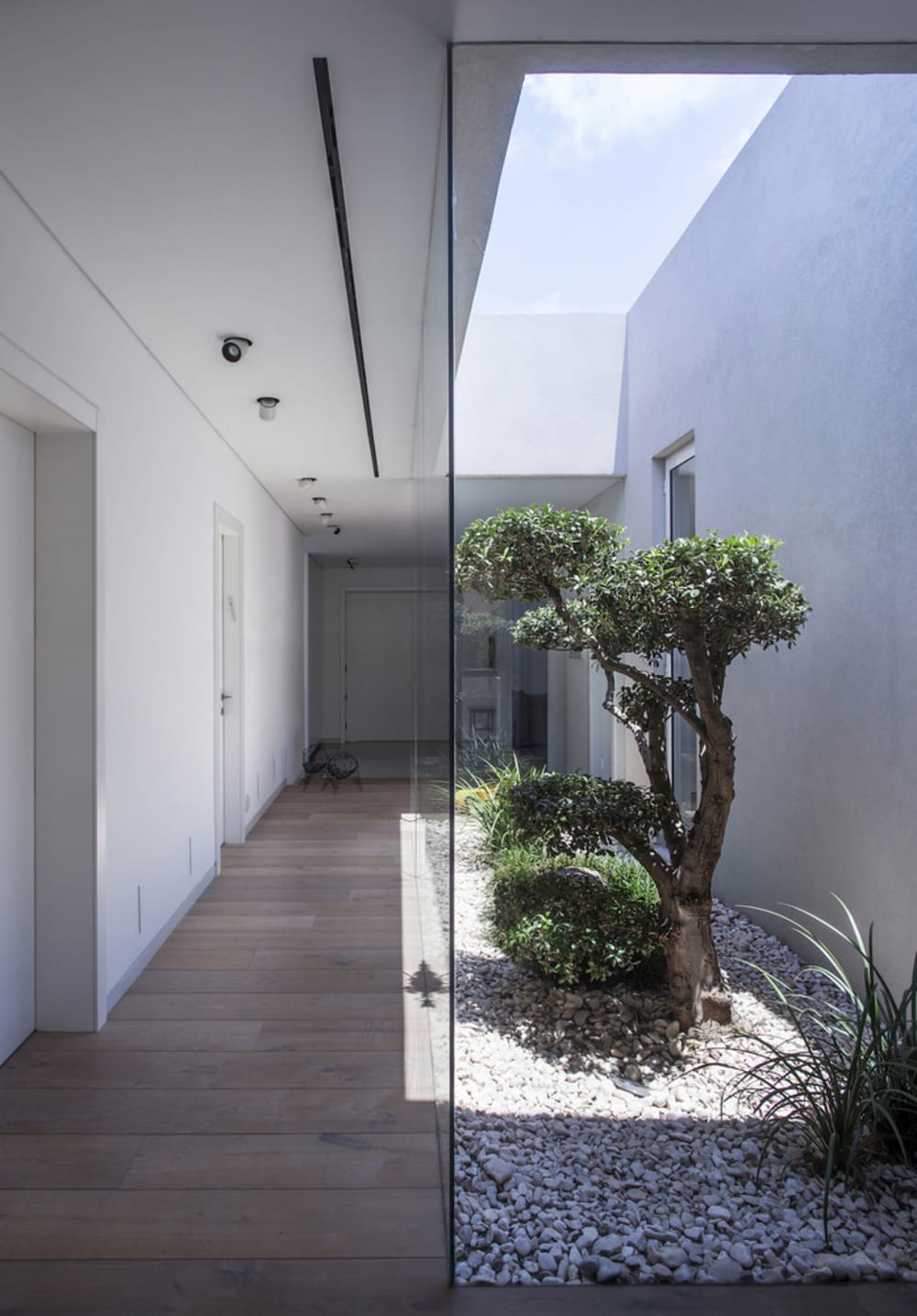 Indoor courtyard spanning the length of a corridor.<span class="sr-only"> (opened in a new window/tab)</span>