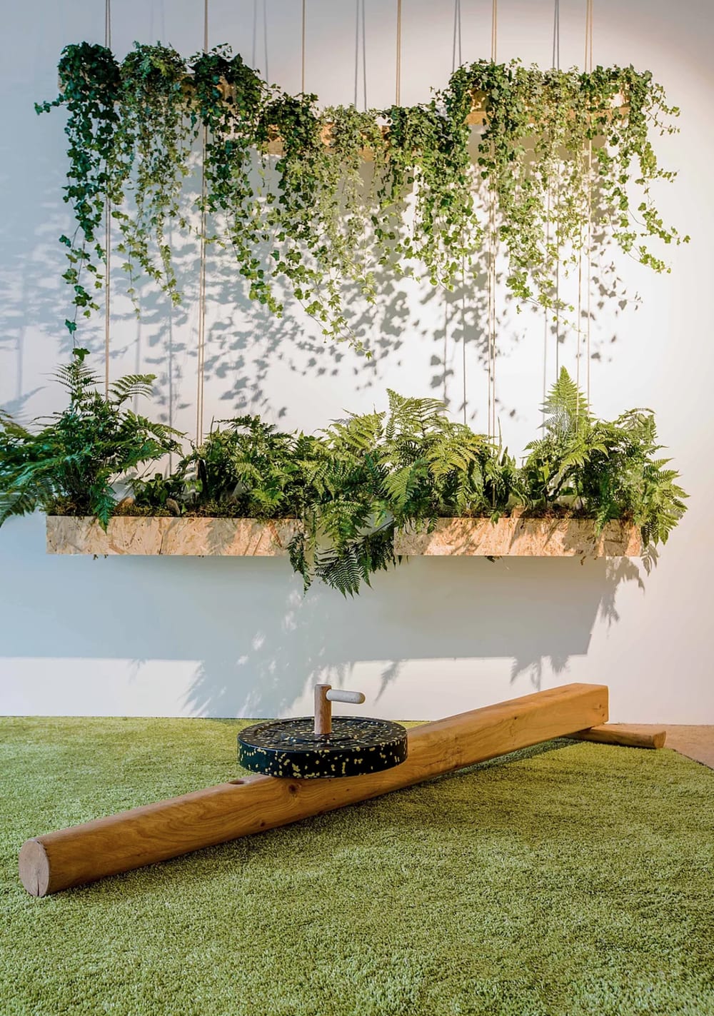 Close-up view of a wooden training equipment with plenty of hanging plants on the wall behind.<span class="sr-only"> (opened in a new window/tab)</span>