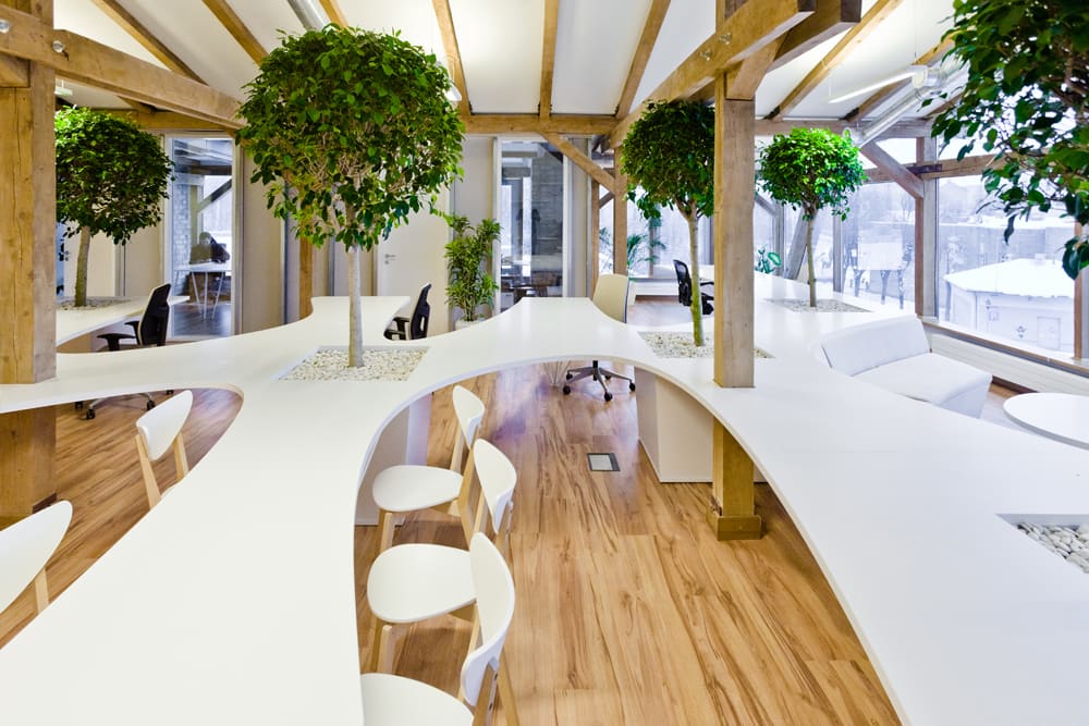 Biophilic office with organic shaped desks and trees in between the tables.<span class="sr-only"> (opened in a new window/tab)</span>
