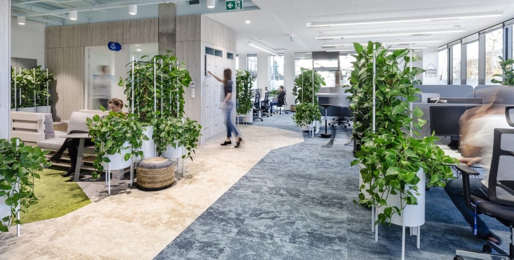 View of a biophilic office where planters of different heights introduce greenery while partitioning the space.<span class="sr-only"> (opened in a new window/tab)</span>