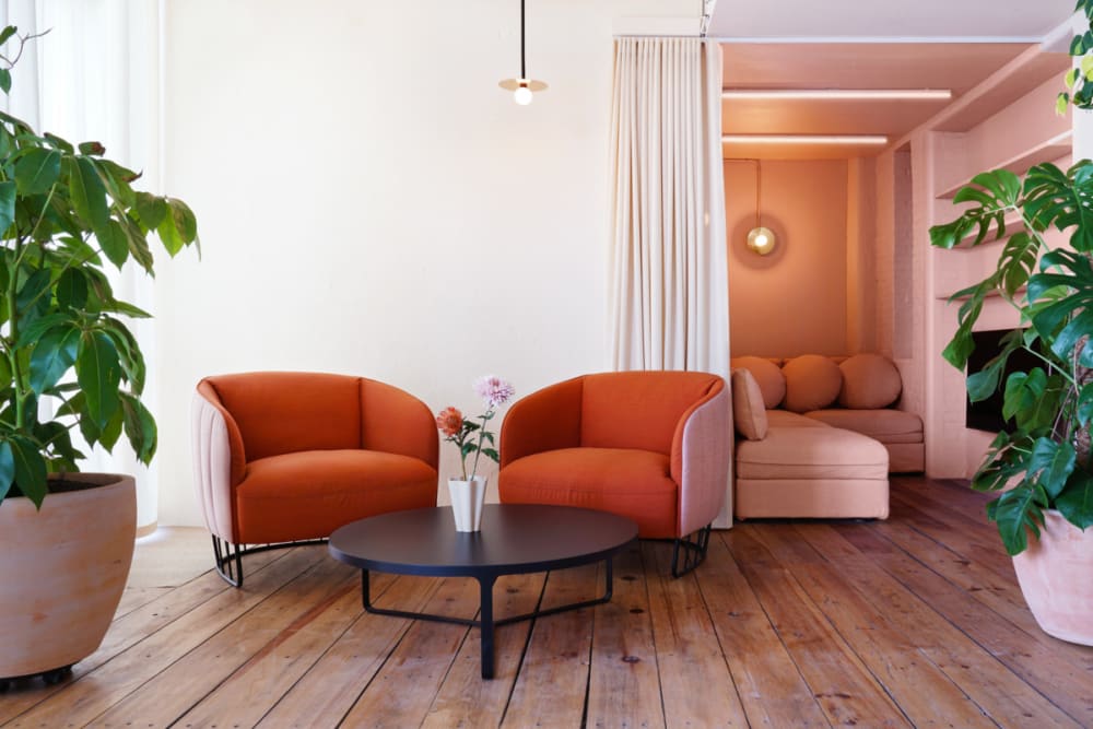 Lounge area in a biophilic office with inviting armchairs and plants.<span class="sr-only"> (opened in a new window/tab)</span>