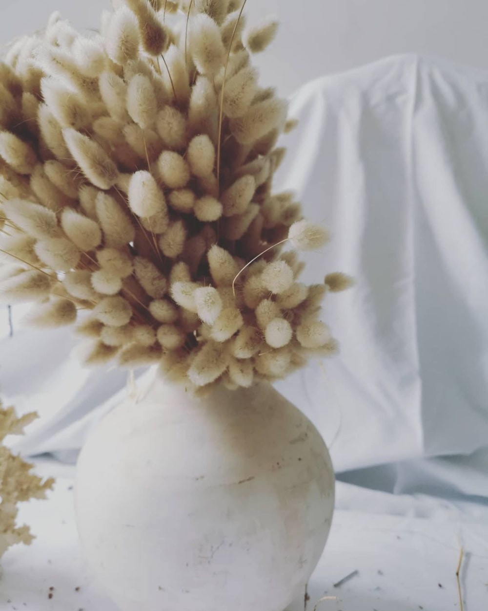 An arrangement of all-beige fluffy dried flowers.<span class="sr-only"> (opened in a new window/tab)</span>