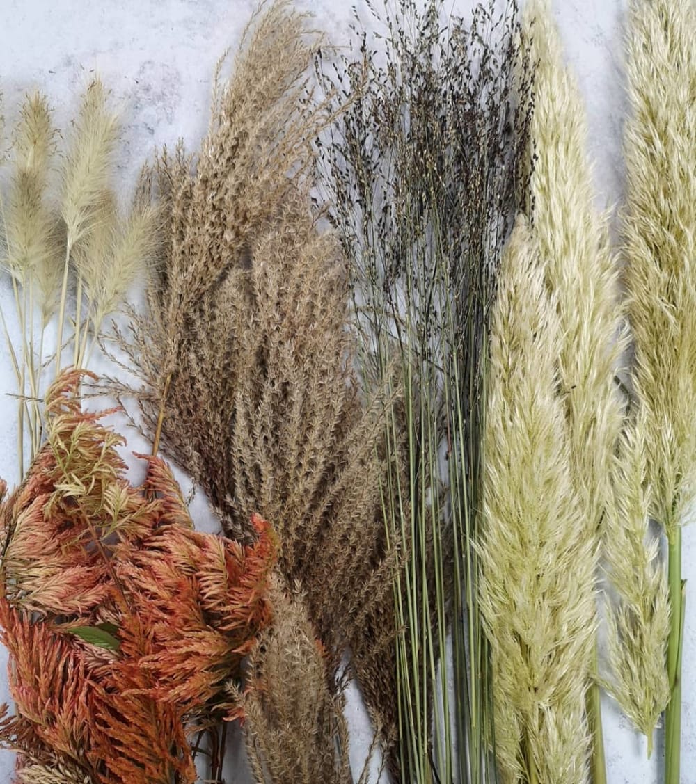 A mix of dried grass on a table.<span class="sr-only"> (opened in a new window/tab)</span>