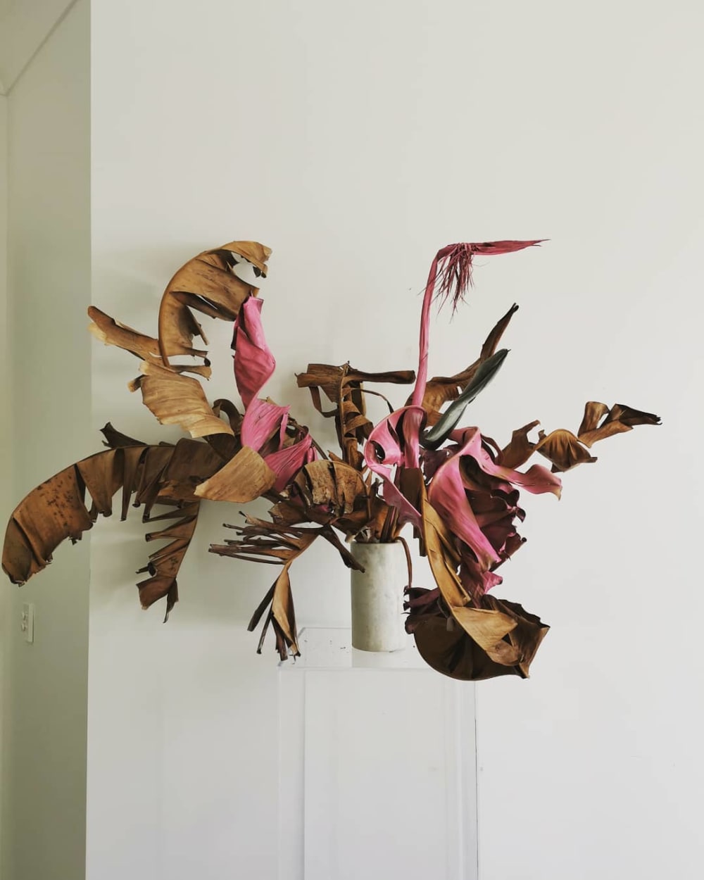 An arrangement of oddly shaped leaves.<span class="sr-only"> (opened in a new window/tab)</span>