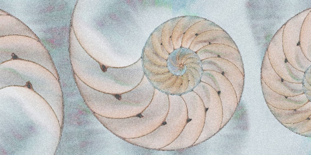 Glass mosaic pattern reproducing a nautilus fractal pattern.<span class="sr-only"> (opened in a new window/tab)</span>