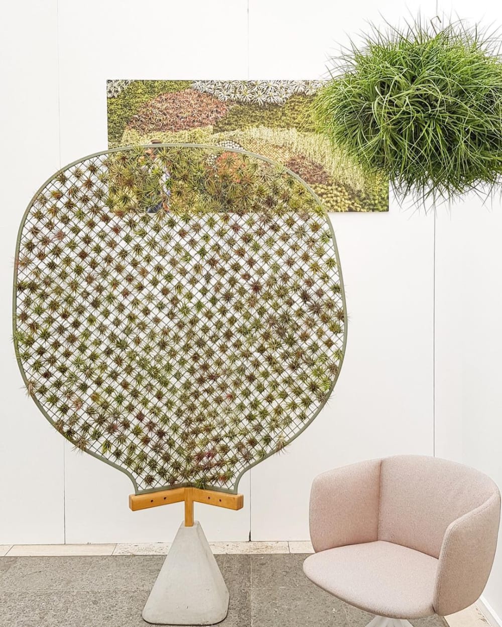 Room divider filled with air plants.<span class="sr-only"> (opened in a new window/tab)</span>
