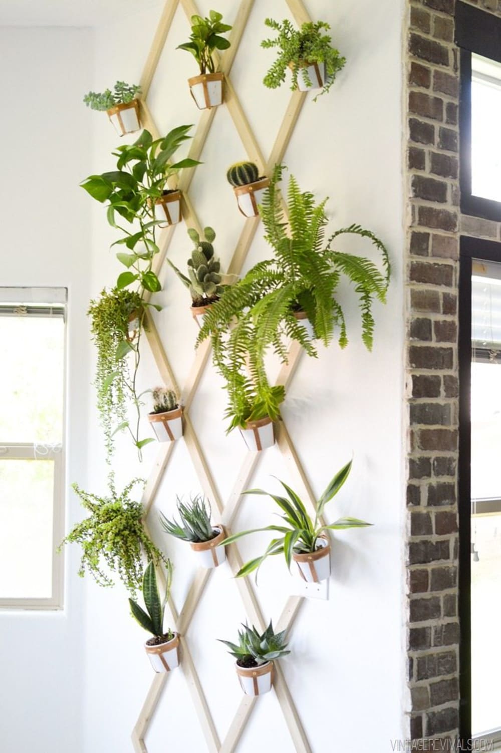 Pots hung on a wall-mounted trellis.<span class="sr-only"> (opened in a new window/tab)</span>
