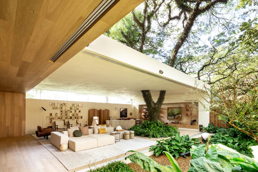 Contemporary home built around a tree.<span class="sr-only"> (opened in a new window/tab)</span>