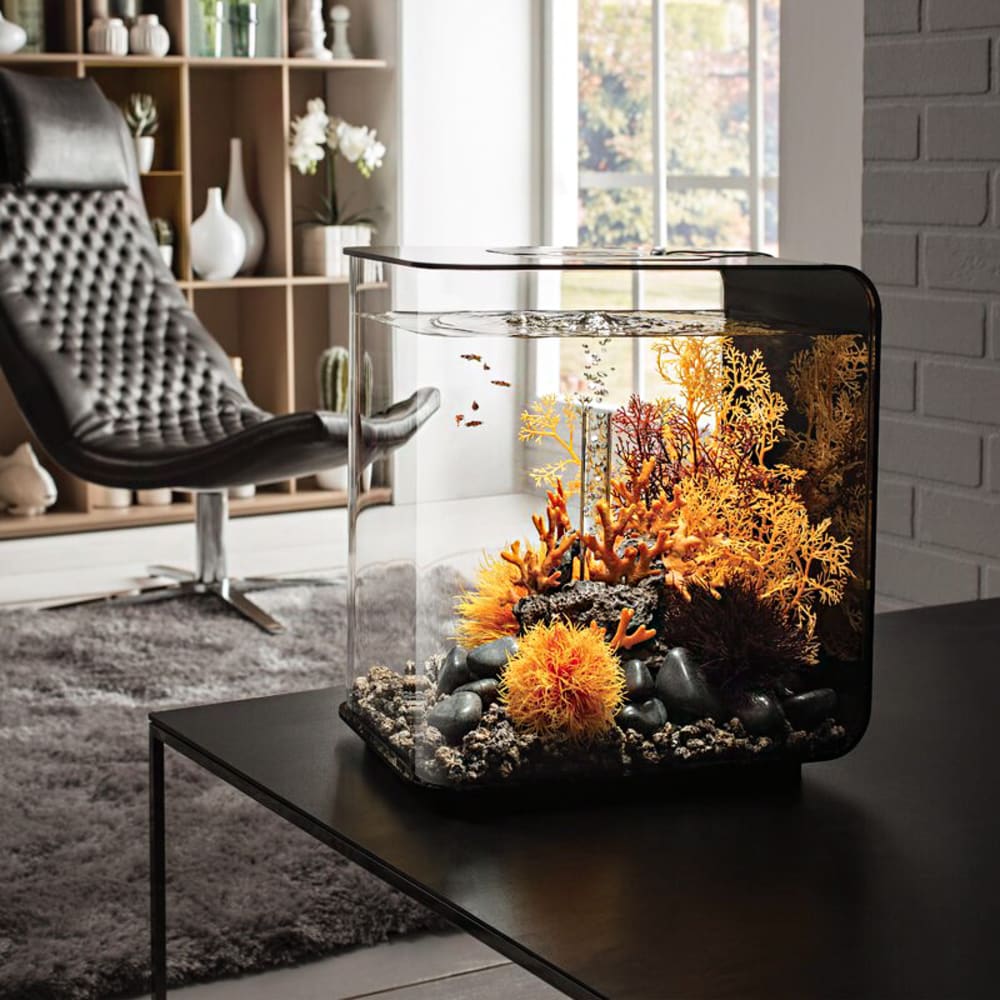 Small aquarium with water plants on a coffee table.<span class="sr-only"> (opened in a new window/tab)</span>