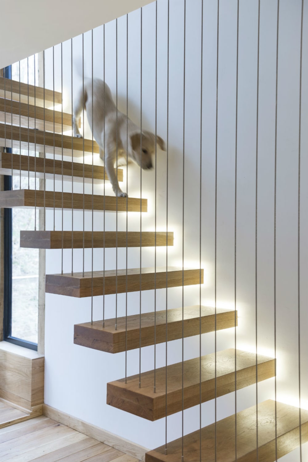 A floating staircase with a thin and risky-looking thread working as railing.<span class="sr-only"> (opened in a new window/tab)</span>