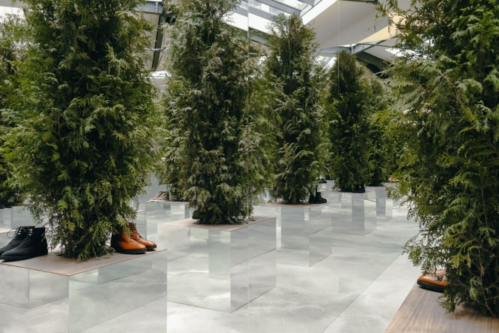 Shop with trees used as partitions.<span class="sr-only"> (opened in a new window/tab)</span>