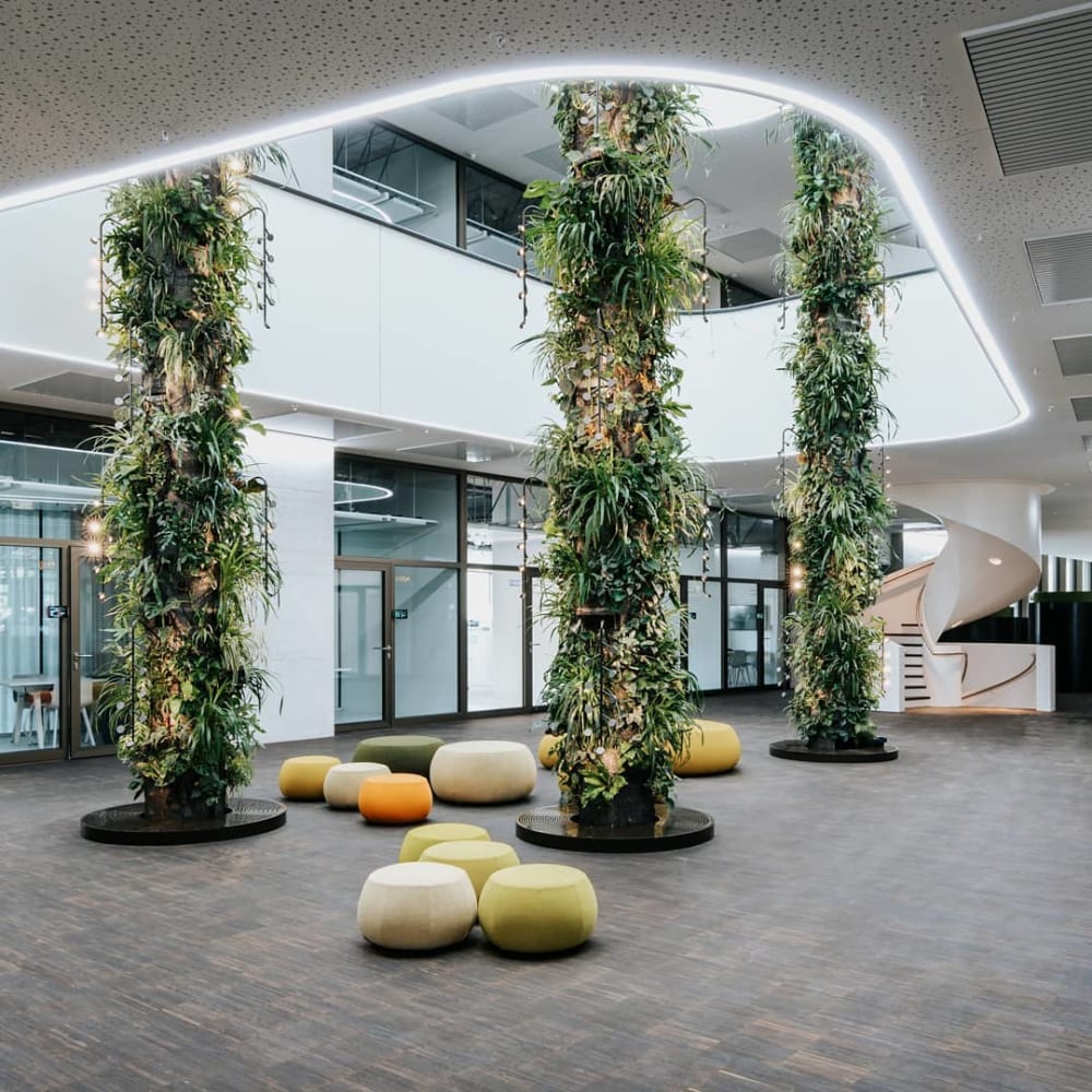 Columns in the middle of a room entirely covered with plants.<span class="sr-only"> (opened in a new window/tab)</span>