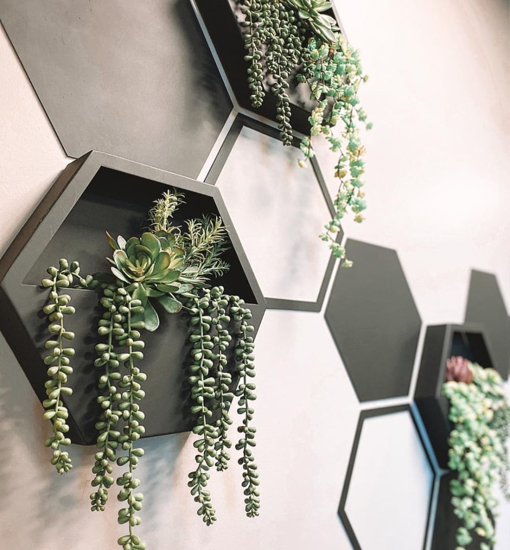 Wall frame filled with living plants.<span class="sr-only"> (opened in a new window/tab)</span>