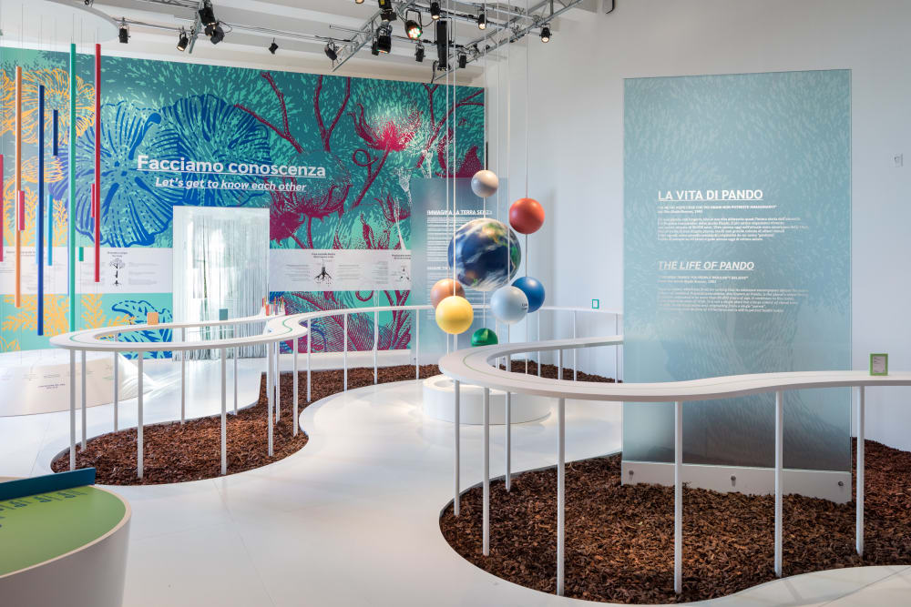 Photo of the first room of the Nation of Plants installation.<span class="sr-only"> (opened in a new window/tab)</span>