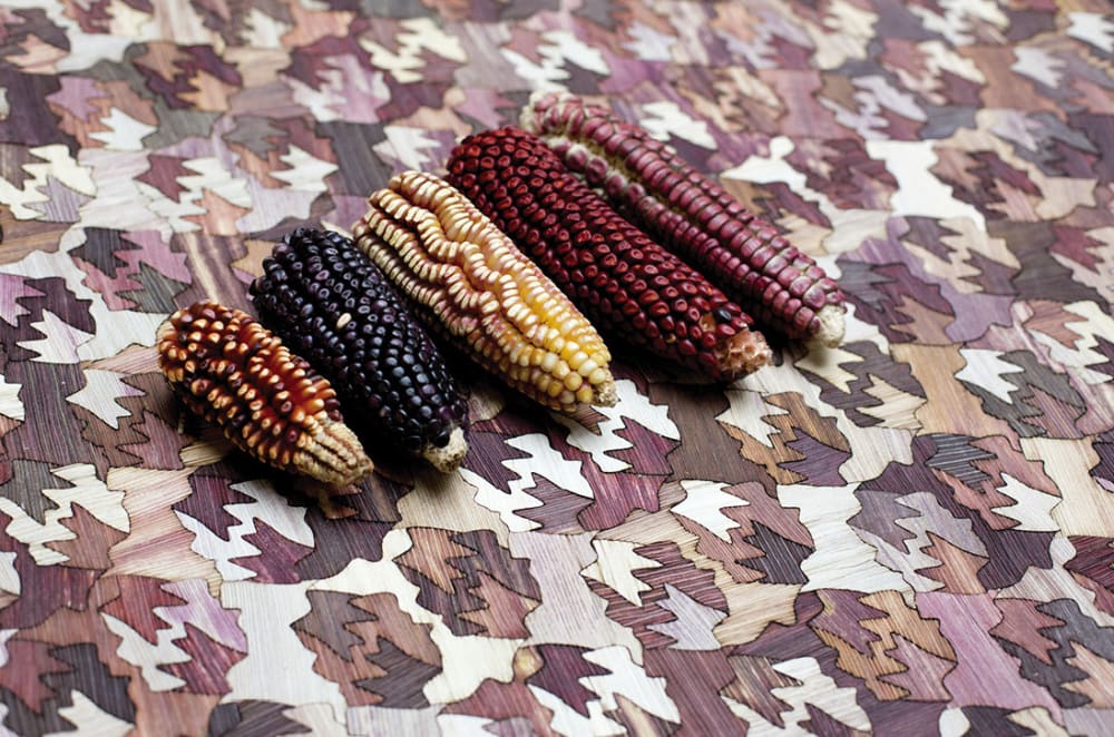 Photo of Totomoxtle and the different types of corn husk it comes from.<span class="sr-only"> (opened in a new window/tab)</span>