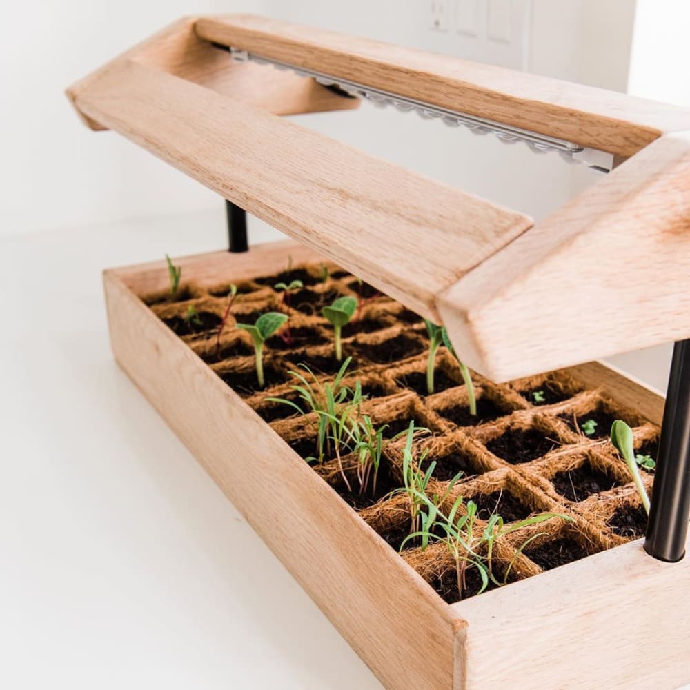 Close-up view of the mini greenhouse, with small plants growing in it.<span class="sr-only"> (opened in a new window/tab)</span>