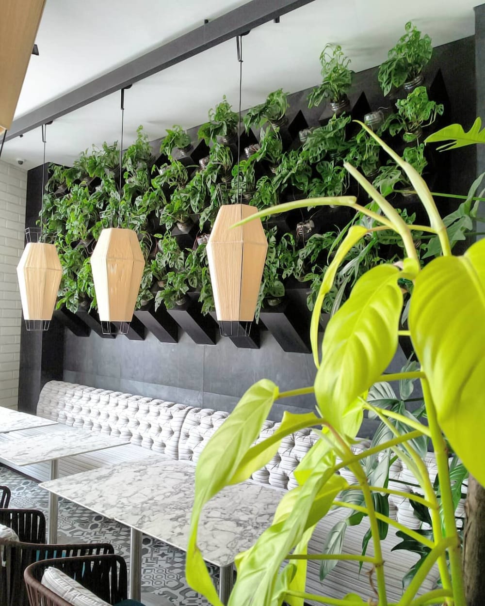 Garden wall created on the back wall of a dining area.<span class="sr-only"> (opened in a new window/tab)</span>