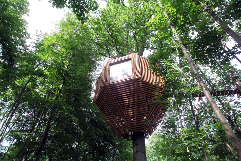 View of the outdoors showing the treehouse immersed in the foliage.<span class="sr-only"> (opened in a new window/tab)</span>