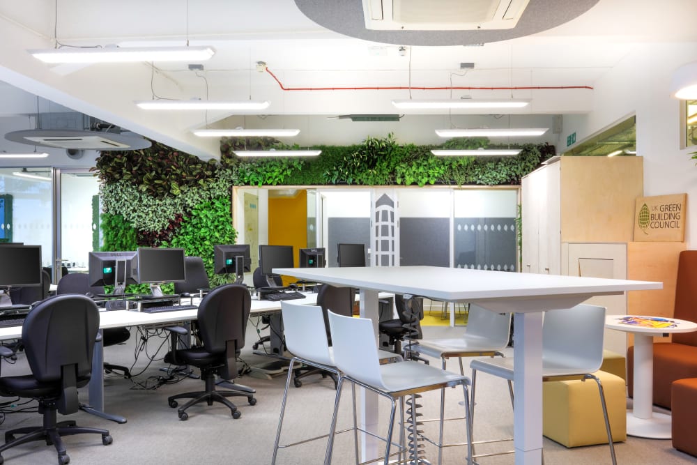 Office furnished with refurbished and reused pieces.<span class="sr-only"> (opened in a new window/tab)</span>