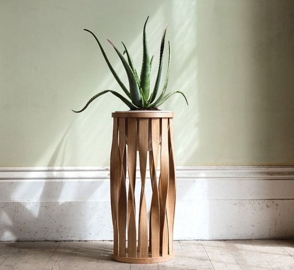 Aloe vera plant on a tall planter.<span class="sr-only"> (opened in a new window/tab)</span>