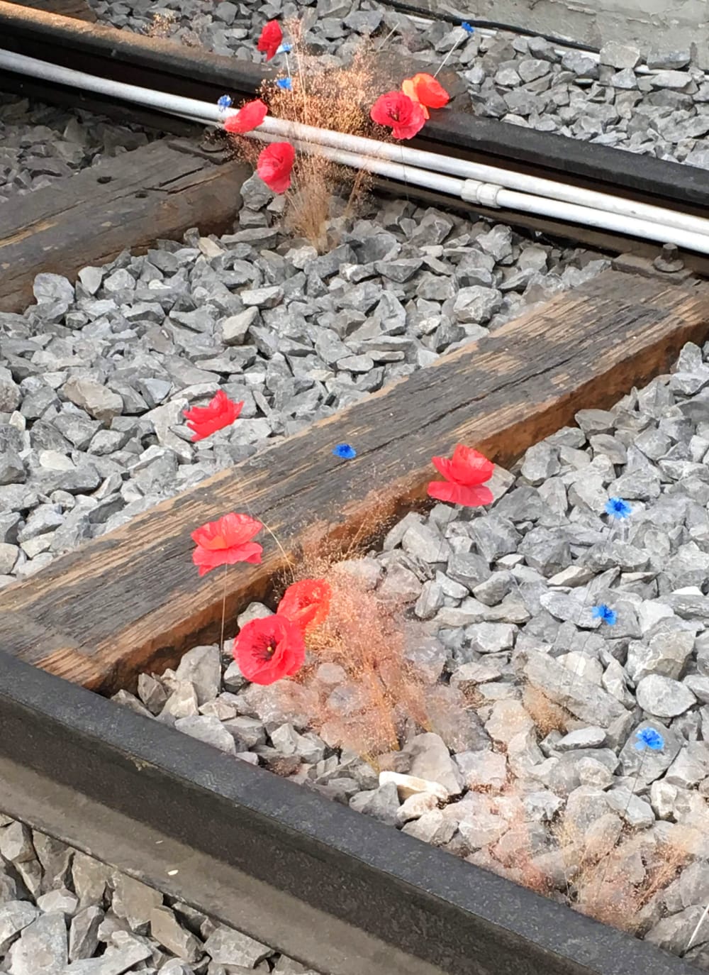 Plastic recycling flowers; one of the projects joining the Guiltless Plastic Initiative..<span class="sr-only"> (opened in a new window/tab)</span>