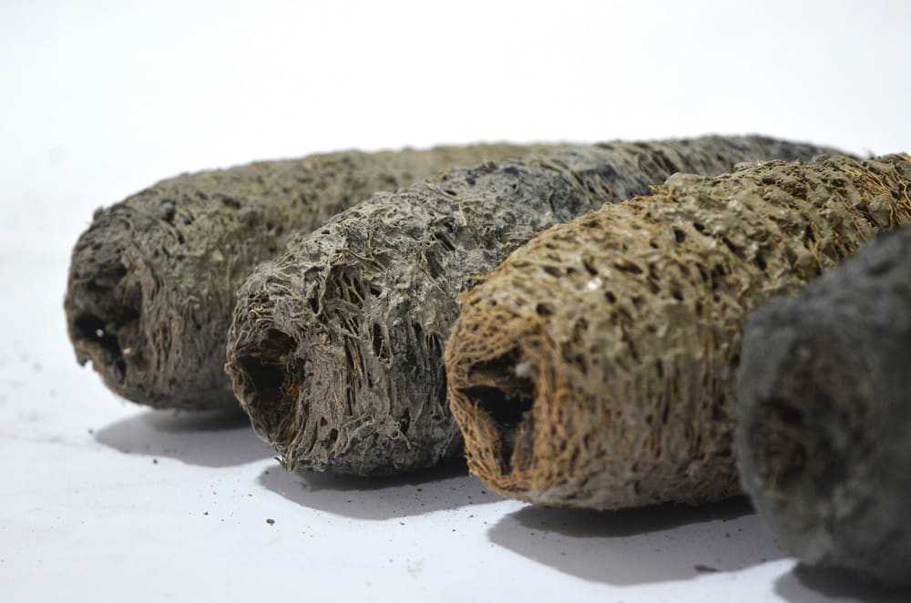 Close-up of the Green Charcoal bio-bricks.<span class="sr-only"> (opened in a new window/tab)</span>
