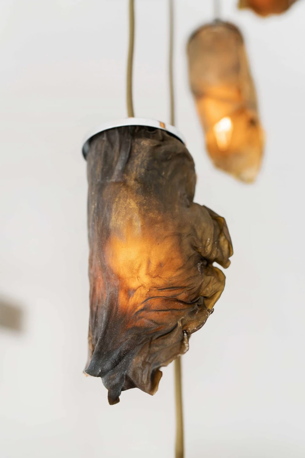 View from the side of a pendant algae lamp.<span class="sr-only"> (opened in a new window/tab)</span>