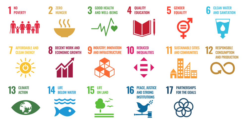 Graphic of the 17 UN sustainable development goals.<span class="sr-only"> (opened in a new window/tab)</span>