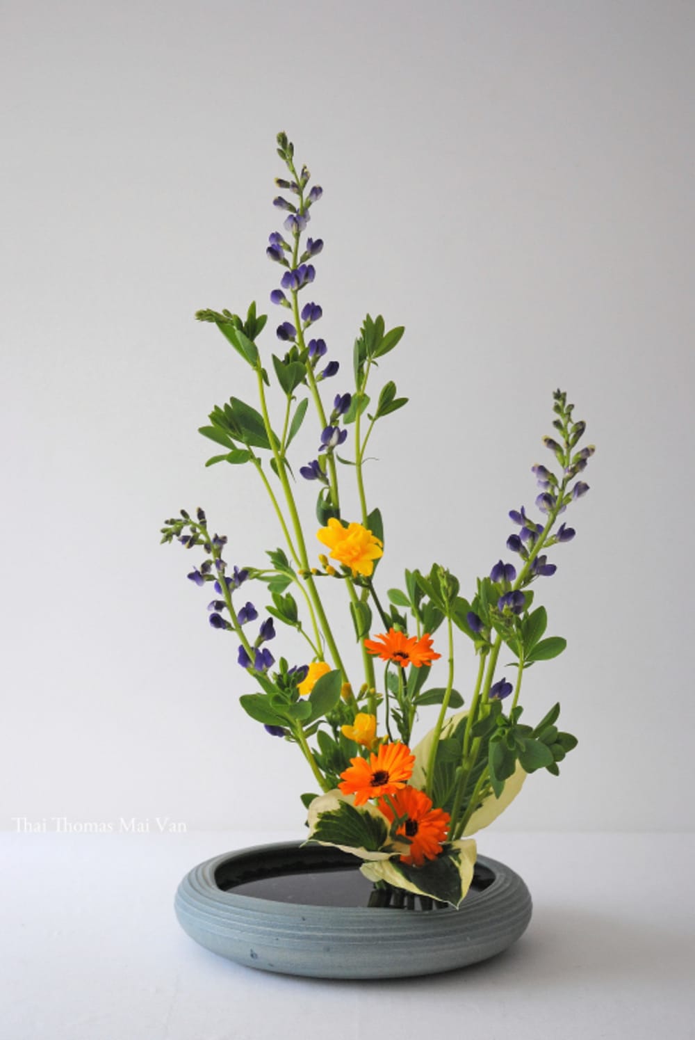 Summer Ikebana arrangement (Moribana).<span class="sr-only"> (opened in a new window/tab)</span>