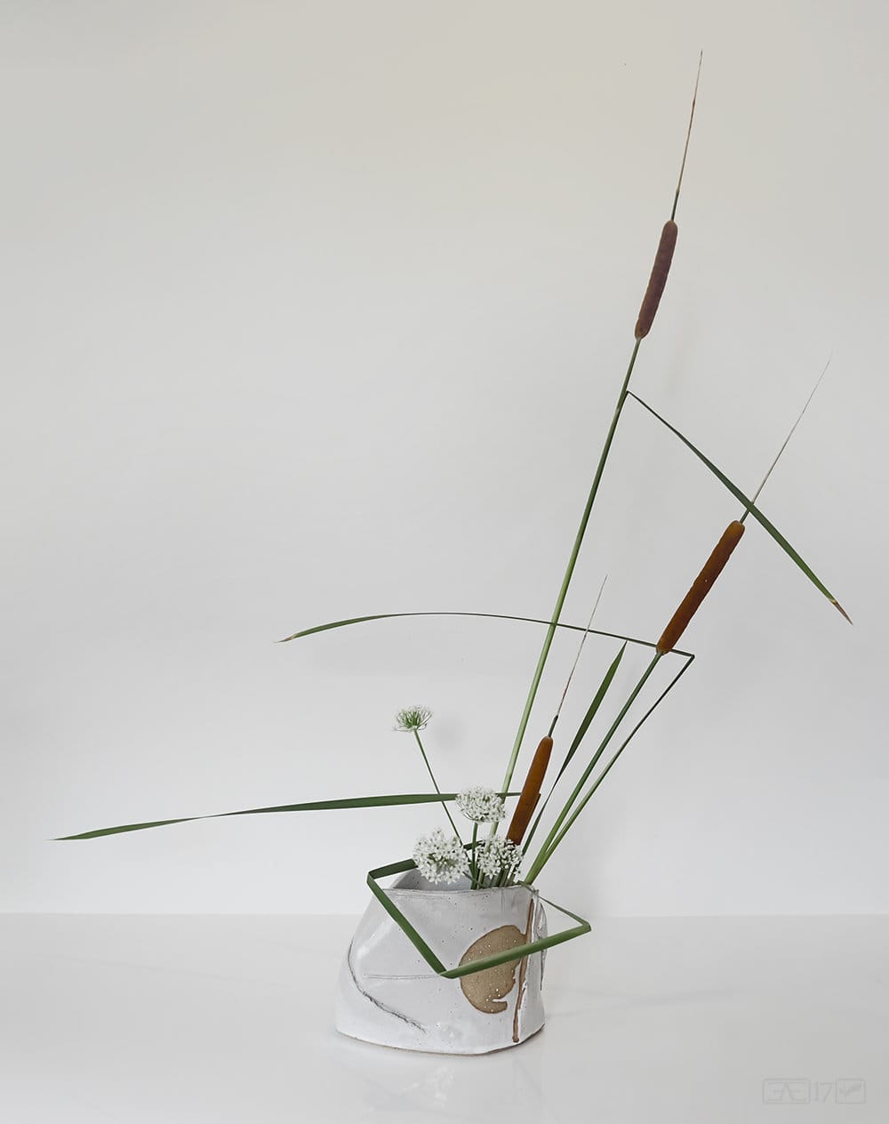 Ikebana arrangement making great use of negative space.<span class="sr-only"> (opened in a new window/tab)</span>