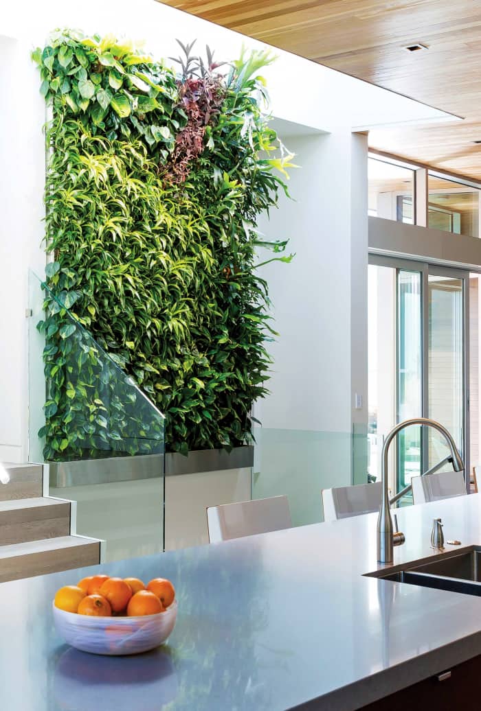 Garden wall design on a kitchen wall. Garden wall design on a kitchen wall.<span class="sr-only"> (opened in a new window/tab)</span>