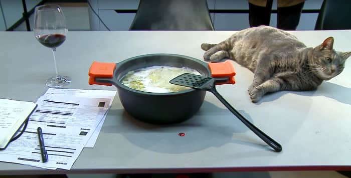 In an invisible kitchen with hidden induction, pans, papers and even a cat can sit on the same surface at the same time!