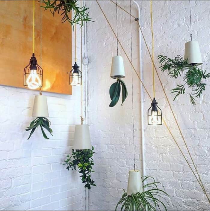 Vases hanging upside down.