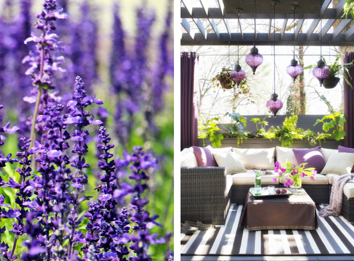 Uses of violet and green in nature and in interiors. Nature: lavender field. Interior: outdoor patio in the tones of white, brown and violet, surrounded by bright green plants.
