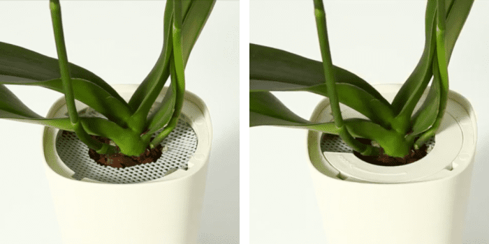 Details of the functioning of these hanging planters.