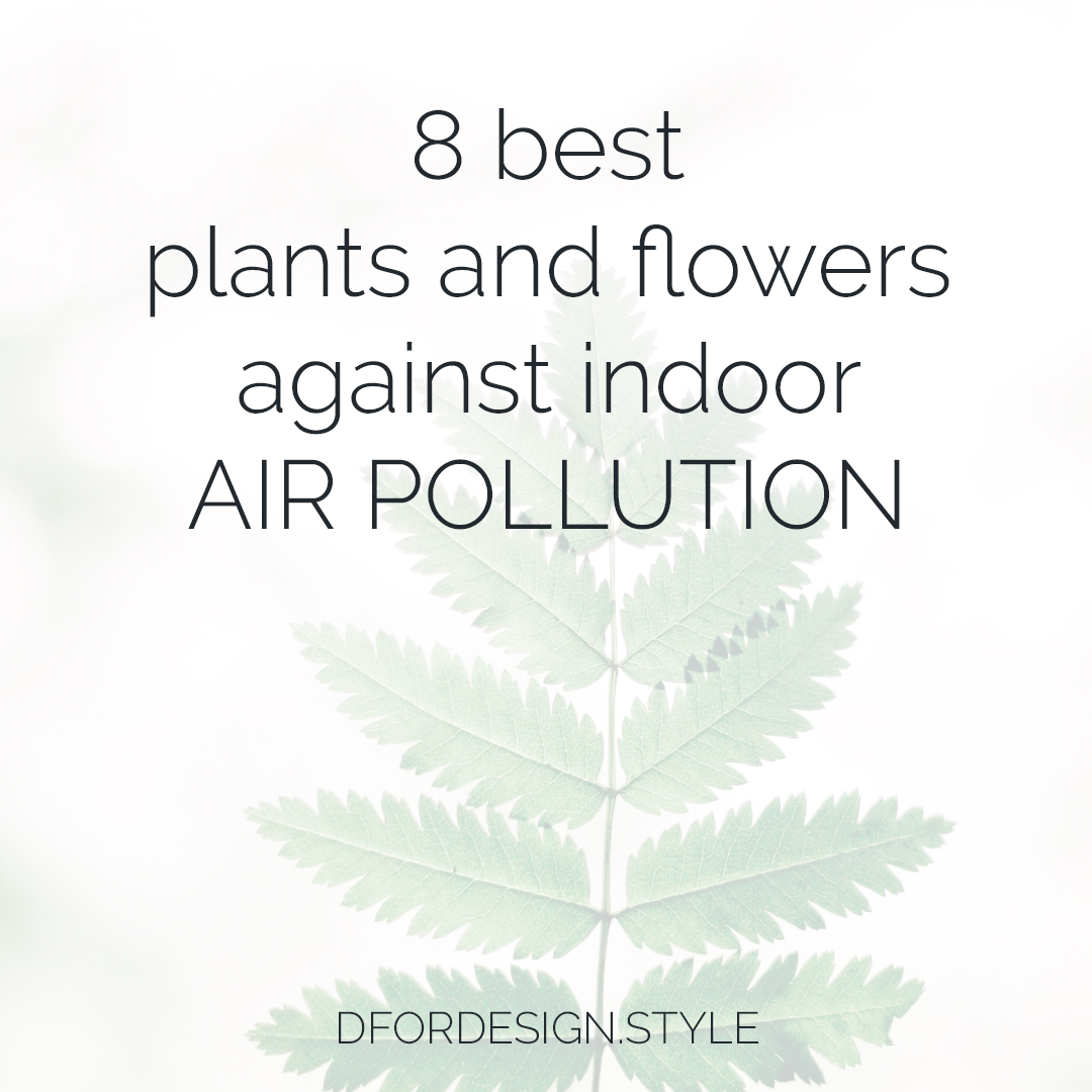 8 best plants and flowers. Pin It. 8 best plants and flowers. Pin It.