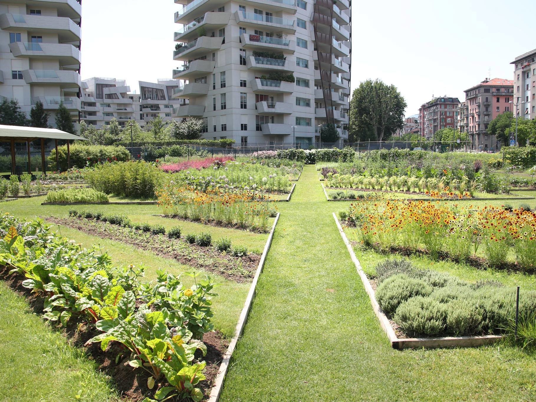 Garden in CityLife park.