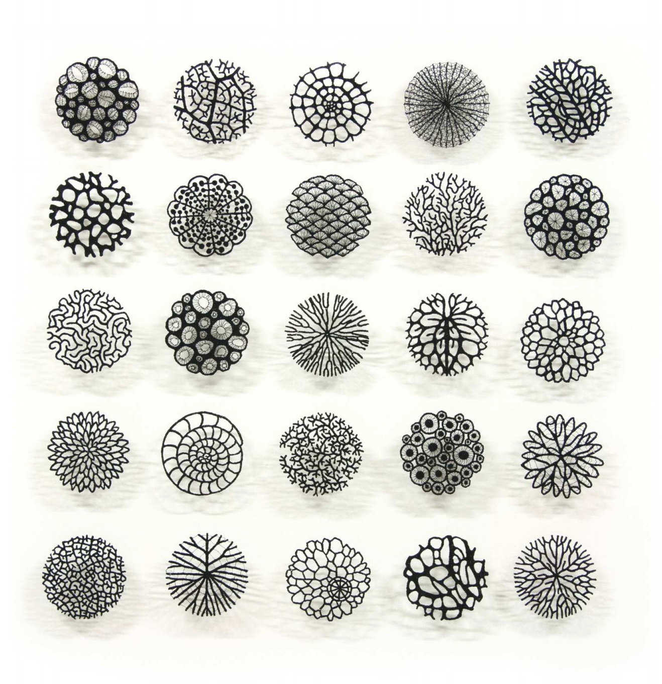 Overview of different embroidered works riproducing biophilic patterns - black and white pieces.