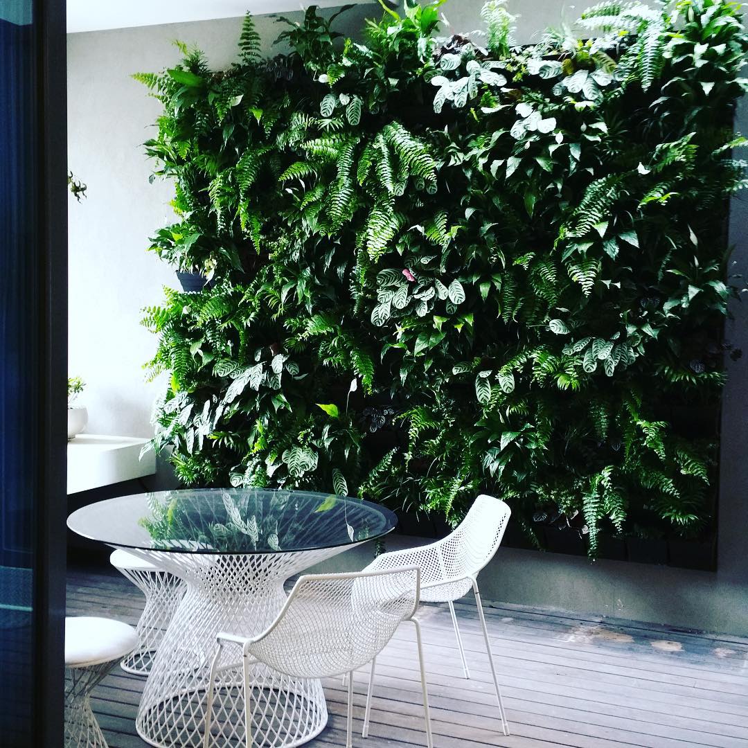 Chair in a veranda with a huge vertical garden as a backdrop.