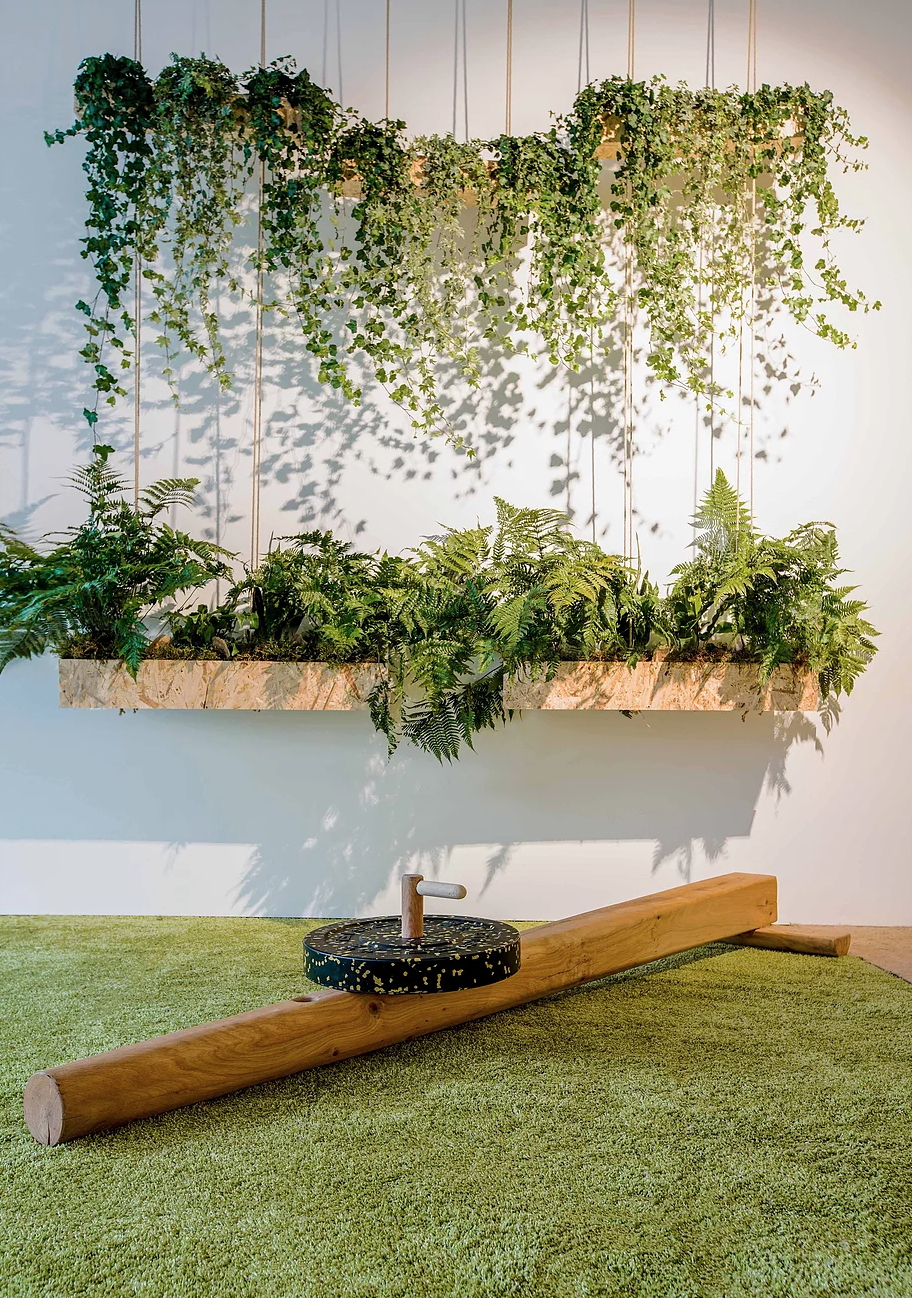 Close-up view of a wooden training equipment with plenty of hanging plants on the wall behind.
