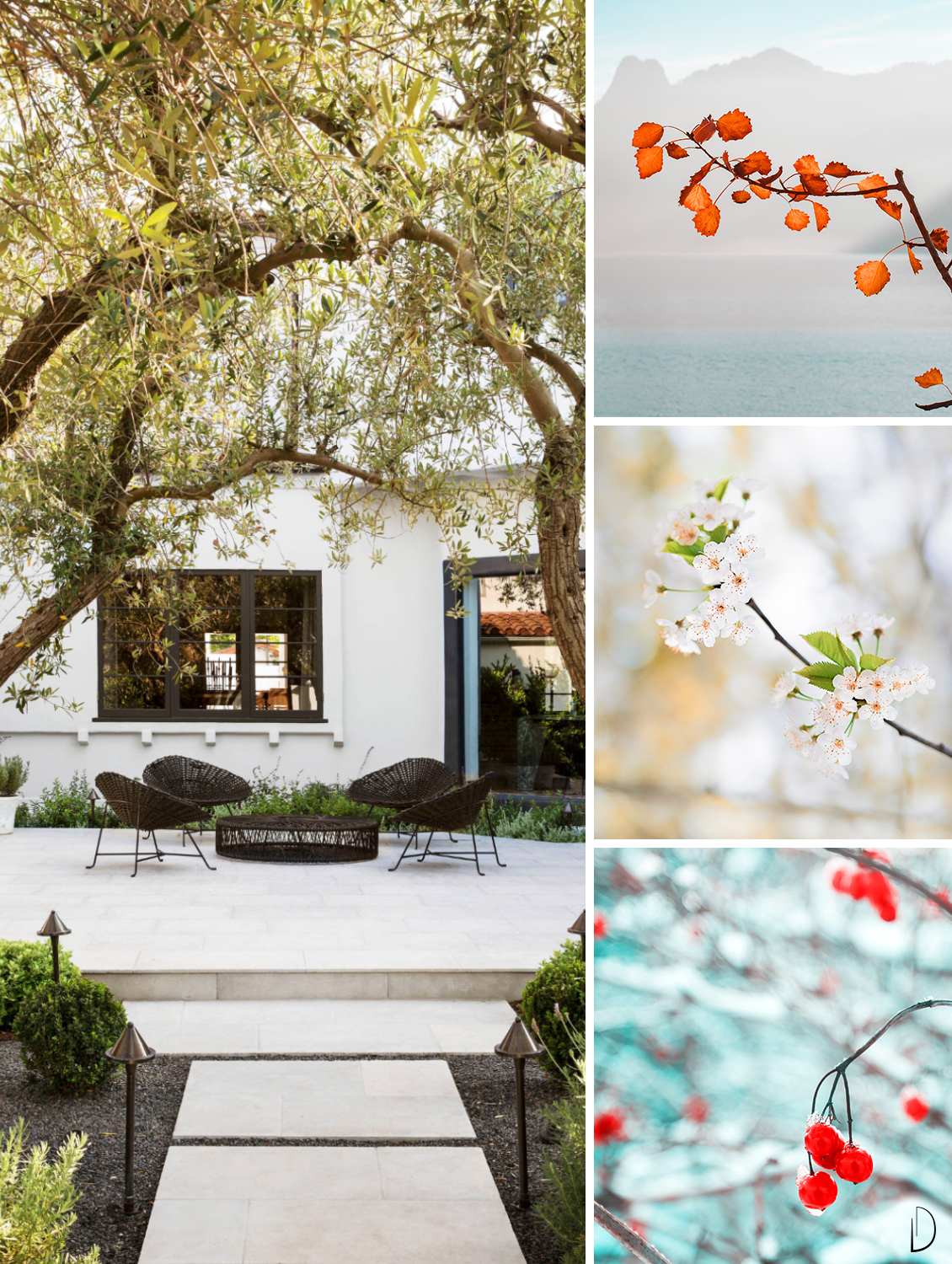 Moodboard depicting the passing of seasons on a branch: green leaves in summer, flowers in spring, red leaves in autumn and frozen berries in winter.