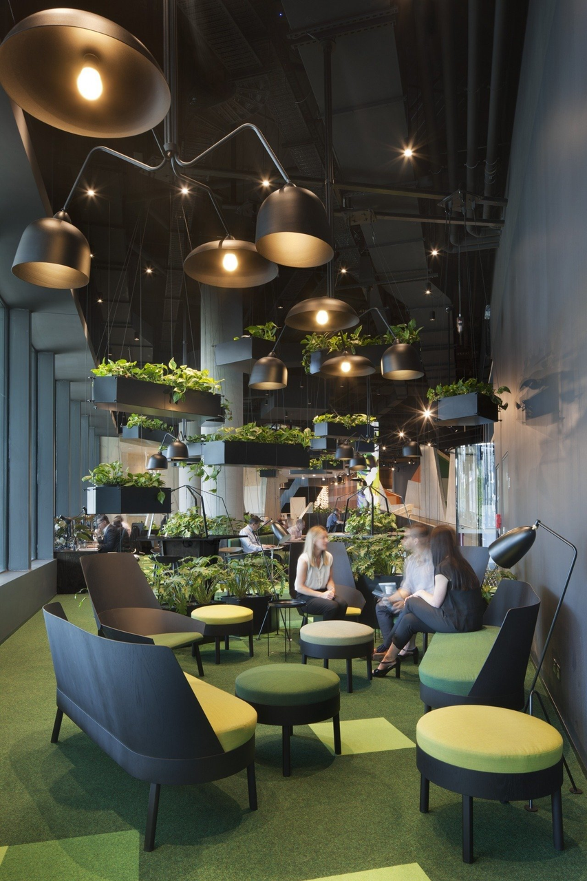 Open space office divided in smaller and cozier sitting areas using plants.